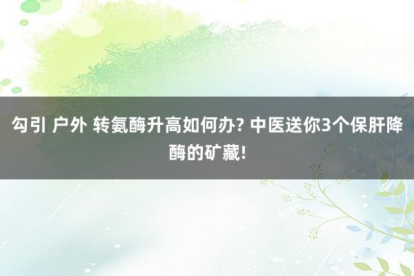 勾引 户外 转氨酶升高如何办? 中医送你3个保肝降酶的矿藏!