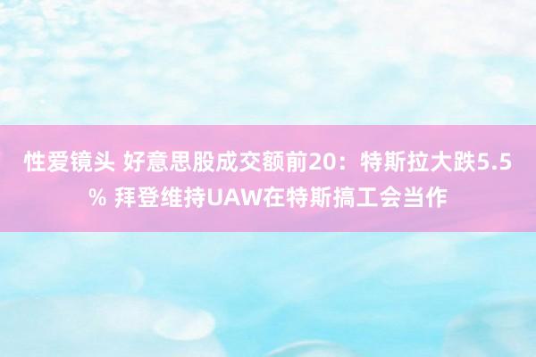 性爱镜头 好意思股成交额前20：特斯拉大跌5.5% 拜登维持UAW在特斯搞工会当作