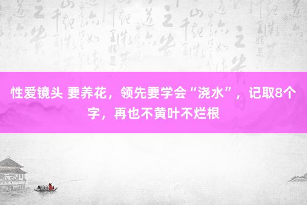 性爱镜头 要养花，领先要学会“浇水”，记取8个字，再也不黄叶不烂根