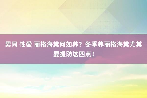 男同 性愛 丽格海棠何如养？冬季养丽格海棠尤其要提防这四点！