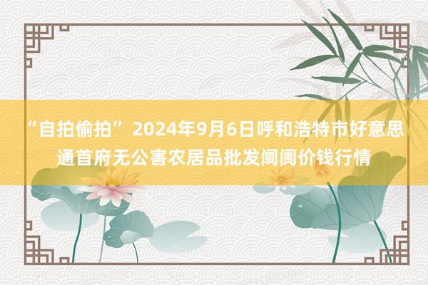 “自拍偷拍” 2024年9月6日呼和浩特市好意思通首府无公害农居品批发阛阓价钱行情