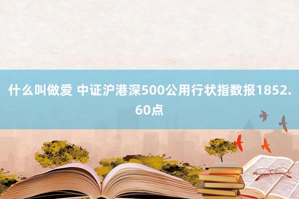 什么叫做爱 中证沪港深500公用行状指数报1852.60点