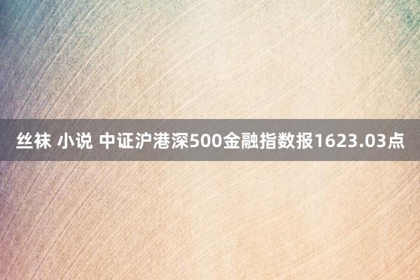 丝袜 小说 中证沪港深500金融指数报1623.03点