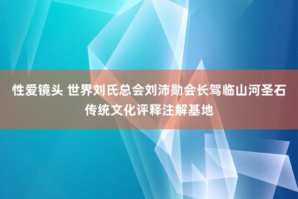 性爱镜头 世界刘氏总会刘沛勋会长驾临山河圣石传统文化评释注解基地