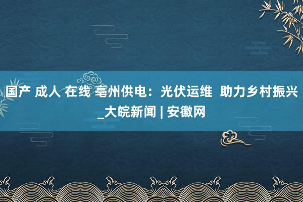 国产 成人 在线 亳州供电：光伏运维  助力乡村振兴_大皖新闻 | 安徽网