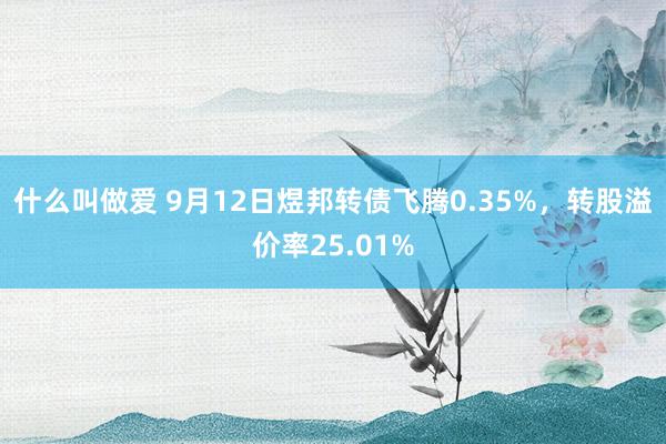 什么叫做爱 9月12日煜邦转债飞腾0.35%，转股溢价率25.01%