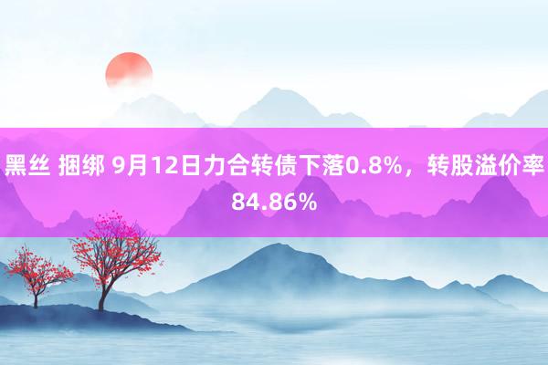 黑丝 捆绑 9月12日力合转债下落0.8%，转股溢价率84.86%