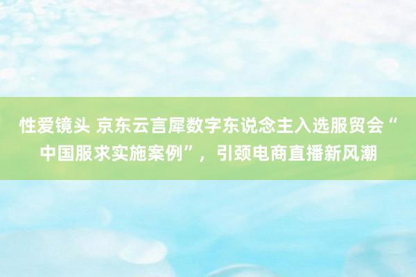 性爱镜头 京东云言犀数字东说念主入选服贸会“中国服求实施案例”，引颈电商直播新风潮