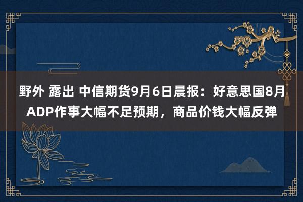 野外 露出 中信期货9月6日晨报：好意思国8月ADP作事大幅不足预期，商品价钱大幅反弹