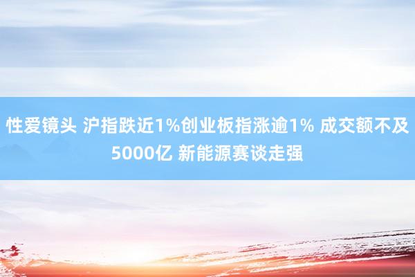 性爱镜头 沪指跌近1%创业板指涨逾1% 成交额不及5000亿 新能源赛谈走强