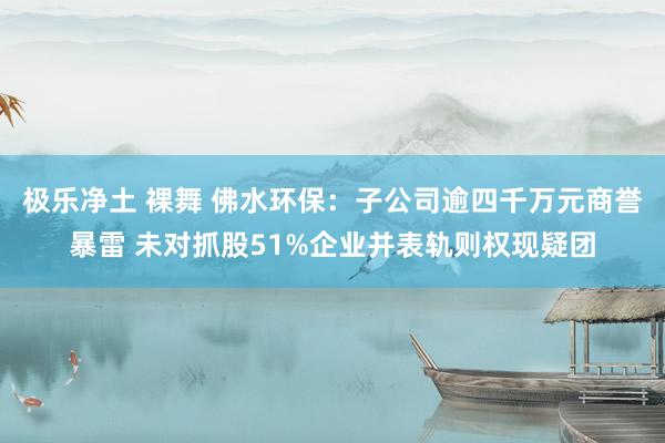 极乐净土 裸舞 佛水环保：子公司逾四千万元商誉暴雷 未对抓股51%企业并表轨则权现疑团