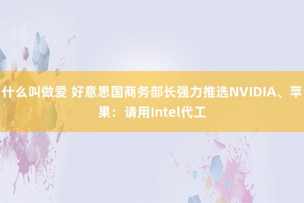 什么叫做爱 好意思国商务部长强力推选NVIDIA、苹果：请用Intel代工