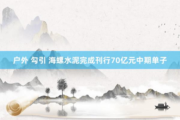 户外 勾引 海螺水泥完成刊行70亿元中期单子