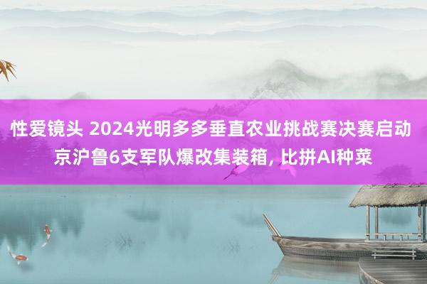 性爱镜头 2024光明多多垂直农业挑战赛决赛启动 京沪鲁6支军队爆改集装箱， 比拼AI种菜