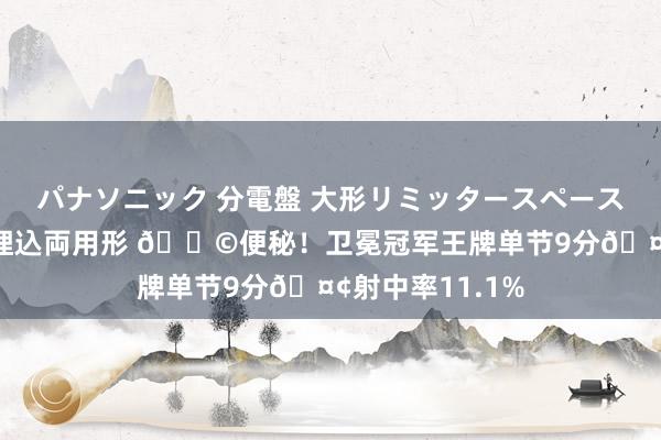 パナソニック 分電盤 大形リミッタースペースなし 露出・半埋込両用形 💩便秘！卫冕冠军王牌单节9分🤢射中率11.1%