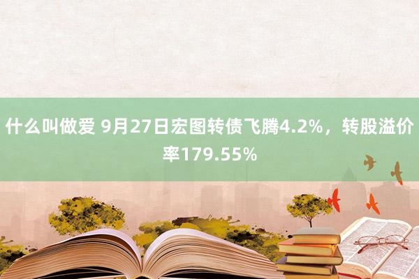 什么叫做爱 9月27日宏图转债飞腾4.2%，转股溢价率179.55%