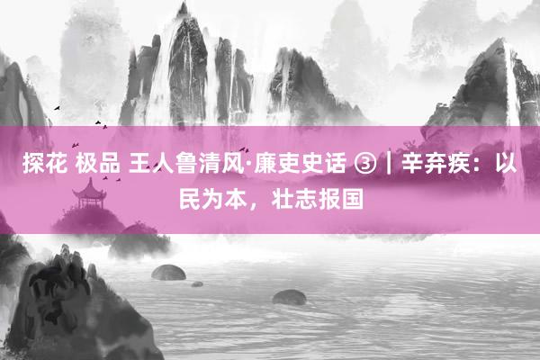 探花 极品 王人鲁清风·廉吏史话 ③｜辛弃疾：以民为本，壮志报国