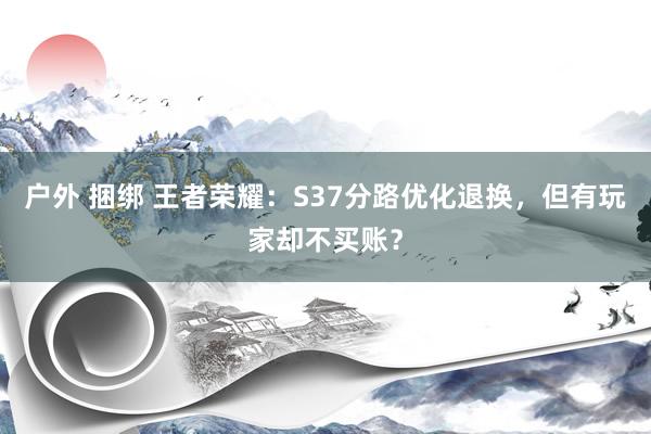 户外 捆绑 王者荣耀：S37分路优化退换，但有玩家却不买账？