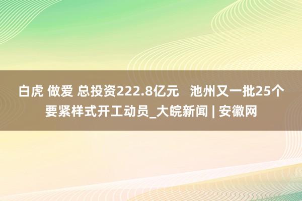 白虎 做爱 总投资222.8亿元   池州又一批25个要紧样式开工动员_大皖新闻 | 安徽网