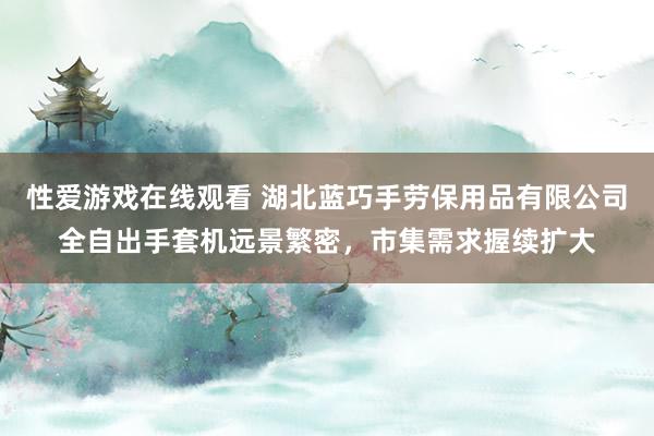 性爱游戏在线观看 湖北蓝巧手劳保用品有限公司全自出手套机远景繁密，市集需求握续扩大