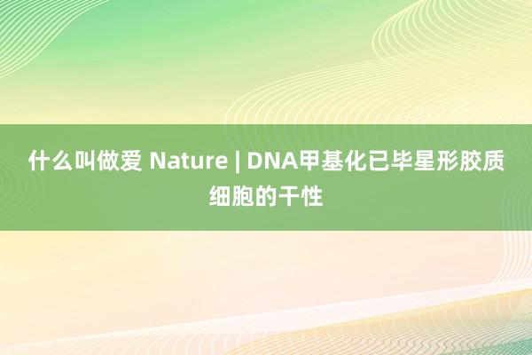 什么叫做爱 Nature | DNA甲基化已毕星形胶质细胞的干性