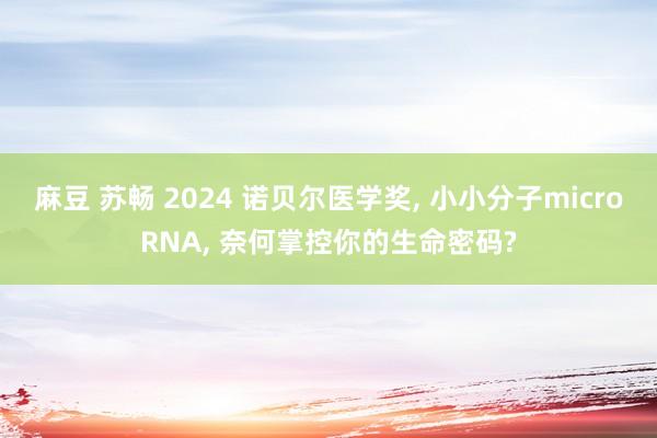 麻豆 苏畅 2024 诺贝尔医学奖， 小小分子microRNA， 奈何掌控你的生命密码?