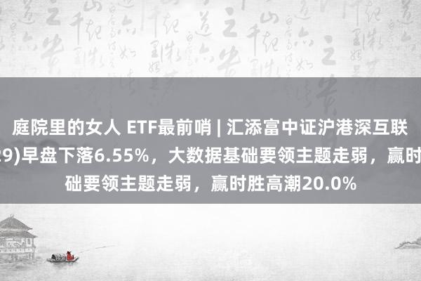 庭院里的女人 ETF最前哨 | 汇添富中证沪港深互联网ETF(159729)早盘下落6.55%，大数据基础要领主题走弱，赢时胜高潮20.0%