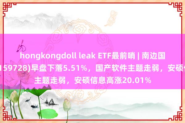 hongkongdoll leak ETF最前哨 | 南边国证在线滥用ETF(159728)早盘下落5.51%，国产软件主题走弱，安硕信息高涨20.01%