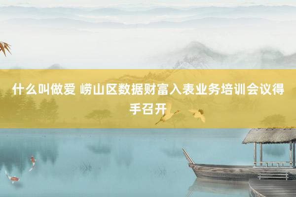 什么叫做爱 崂山区数据财富入表业务培训会议得手召开