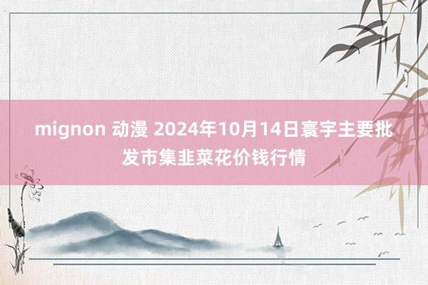 mignon 动漫 2024年10月14日寰宇主要批发市集韭菜花价钱行情