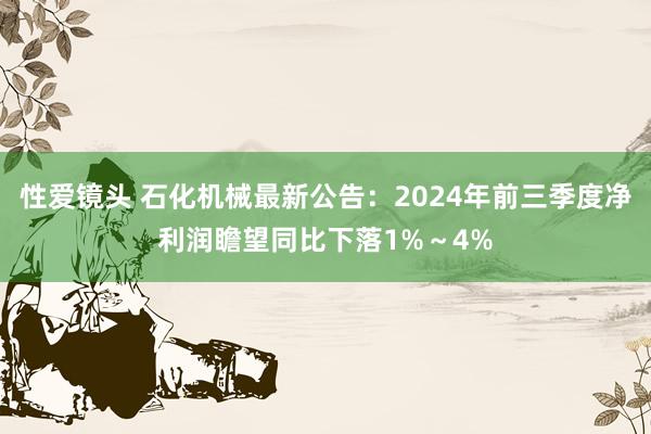 性爱镜头 石化机械最新公告：2024年前三季度净利润瞻望同比下落1%～4%