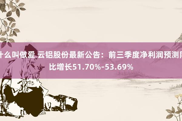 什么叫做爱 云铝股份最新公告：前三季度净利润预测同比增长51.70%-53.69%