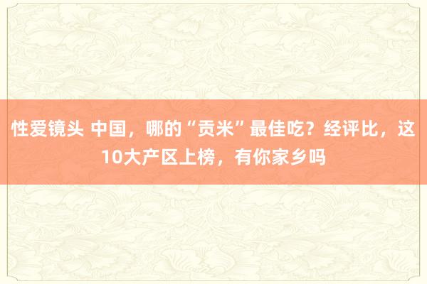 性爱镜头 中国，哪的“贡米”最佳吃？经评比，这10大产区上榜，有你家乡吗