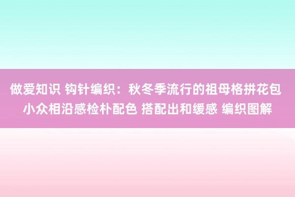 做爱知识 钩针编织：秋冬季流行的祖母格拼花包 小众相沿感检朴配色 搭配出和缓感 编织图解