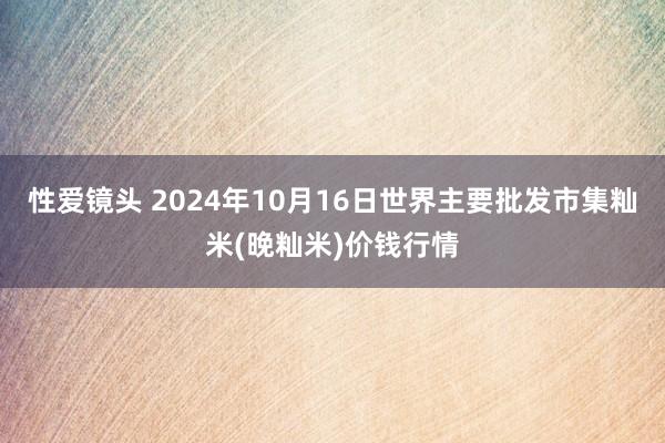 性爱镜头 2024年10月16日世界主要批发市集籼米(晚籼米)价钱行情