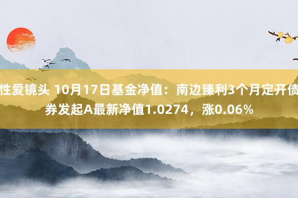 性爱镜头 10月17日基金净值：南边臻利3个月定开债券发起A最新净值1.0274，涨0.06%