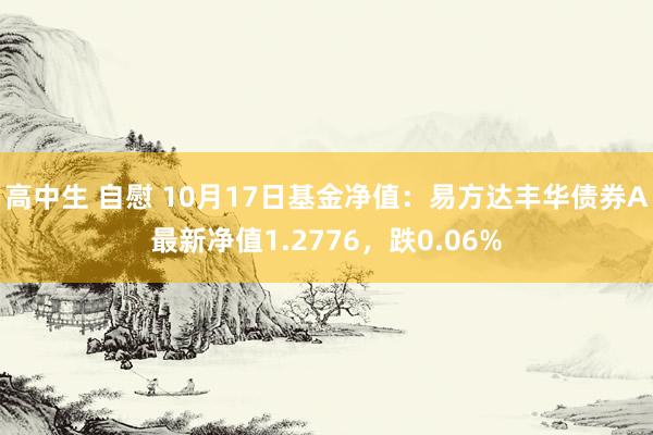 高中生 自慰 10月17日基金净值：易方达丰华债券A最新净值1.2776，跌0.06%