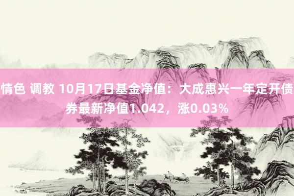 情色 调教 10月17日基金净值：大成惠兴一年定开债券最新净值1.042，涨0.03%