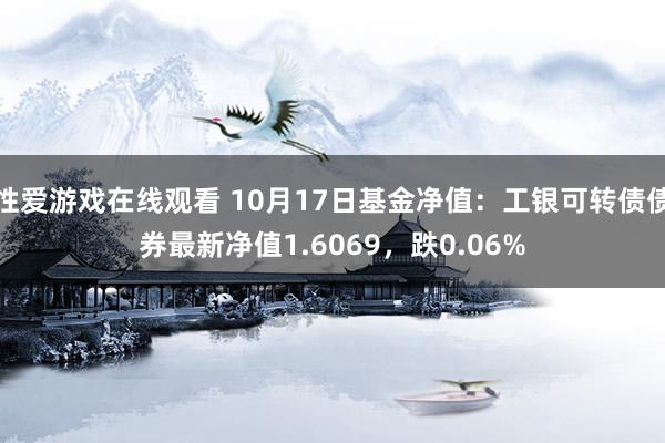 性爱游戏在线观看 10月17日基金净值：工银可转债债券最新净值1.6069，跌0.06%