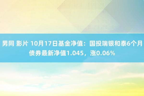 男同 影片 10月17日基金净值：国投瑞银和泰6个月债券最新净值1.045，涨0.06%