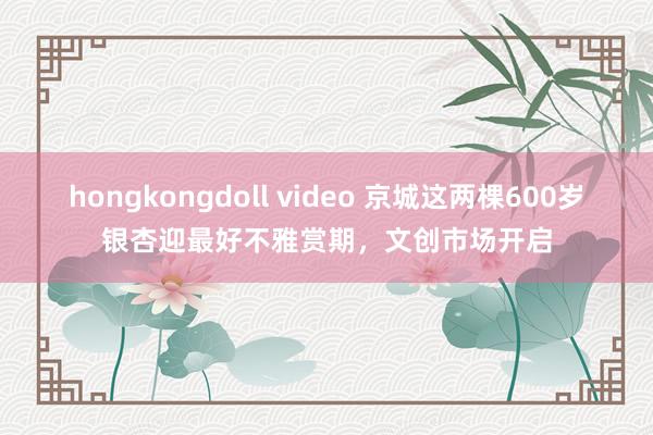 hongkongdoll video 京城这两棵600岁银杏迎最好不雅赏期，文创市场开启