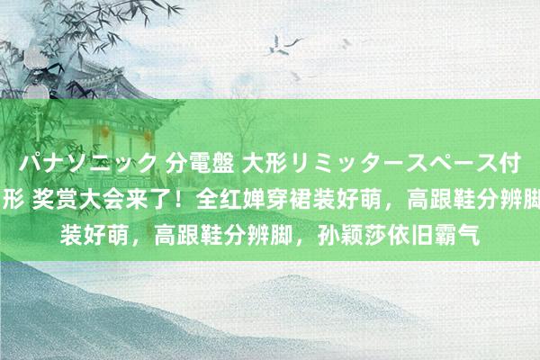 パナソニック 分電盤 大形リミッタースペース付 露出・半埋込両用形 奖赏大会来了！全红婵穿裙装好萌，高跟鞋分辨脚，孙颖莎依旧霸气