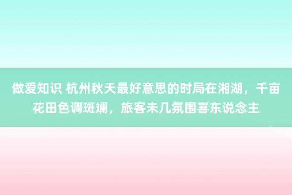 做爱知识 杭州秋天最好意思的时局在湘湖，千亩花田色调斑斓，旅客未几氛围喜东说念主