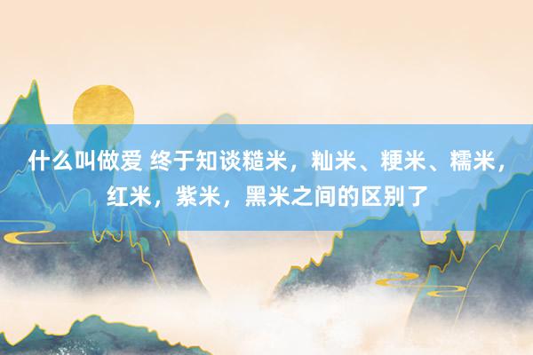 什么叫做爱 终于知谈糙米，籼米、粳米、糯米，红米，紫米，黑米之间的区别了