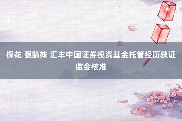 探花 眼睛妹 汇丰中国证券投资基金托管经历获证监会核准