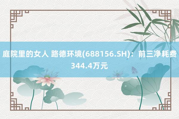 庭院里的女人 路德环境(688156.SH)：前三净耗费344.4万元