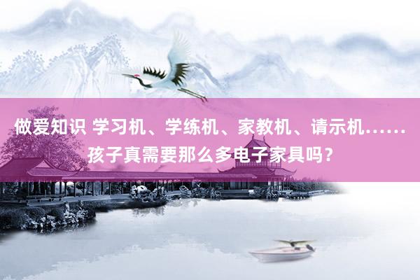 做爱知识 学习机、学练机、家教机、请示机……孩子真需要那么多电子家具吗？