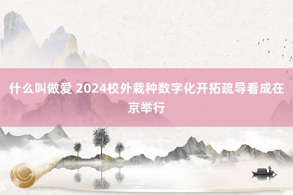 什么叫做爱 2024校外栽种数字化开拓疏导看成在京举行