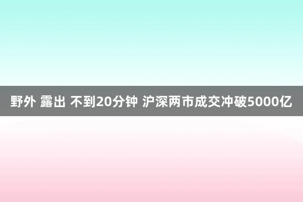 野外 露出 不到20分钟 沪深两市成交冲破5000亿