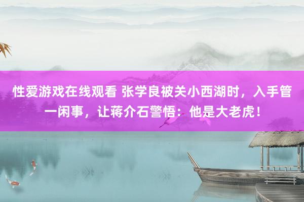 性爱游戏在线观看 张学良被关小西湖时，入手管一闲事，让蒋介石警悟：他是大老虎！